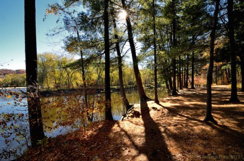 If You Love Camping, Don't Miss This Epic Campground in Minnesota