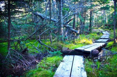 Mount Greylock Just Might Be The Most Beautiful Hike In All Of Massachusetts