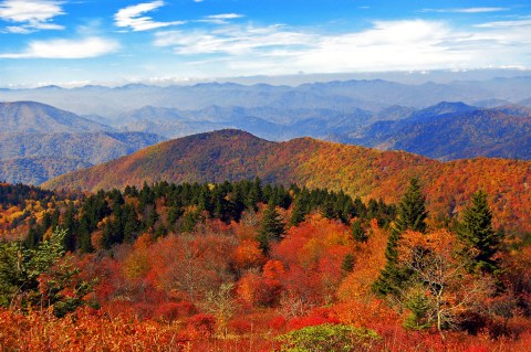 If You Love Fall In North Carolina You'll Love This Year's Prediction About Autumn's Leaves