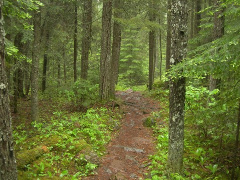 This Just Might Be The Most Beautiful Hike In All Of Minnesota