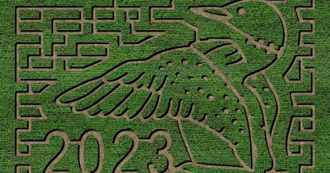 Get Lost In These 16 Awesome Corn Mazes In Minnesota This Fall