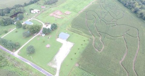 Get Lost In These 10 Awesome Corn Mazes In Illinois This Fall