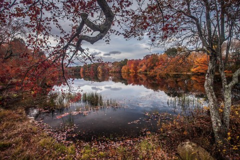 10 Picturesque Hikes For Fall Foliage In Rhode Island
