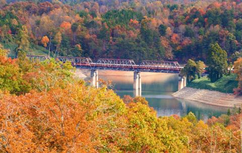 Take This Fall Foliage Train Ride Through North Carolina For A One-Of-A-Kind Experience