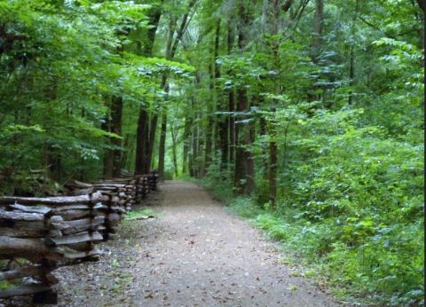 8 Easy Hikes To Add To Your Outdoor Bucket List In Indiana