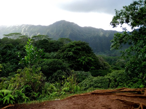 This Just Might Be The Most Beautiful Hike In All Of Hawaii