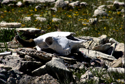 This Mysterious Wyoming Landmark Is Only Visible Once A Year