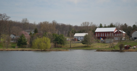 These 10 Charming Apple Orchards Near Washington DC Are Picture Perfect For A Fall Day