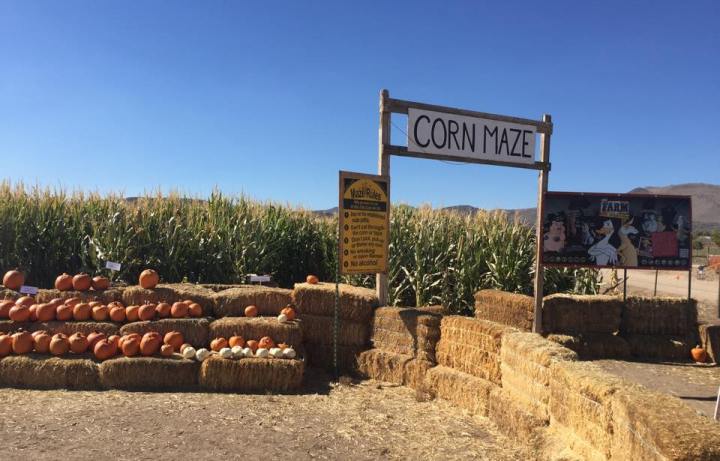 best corn mazes nevada