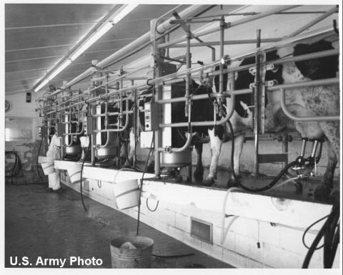 This Fallout Shelter Was Built In Nebraska In 1963 To Keep Cows Safe