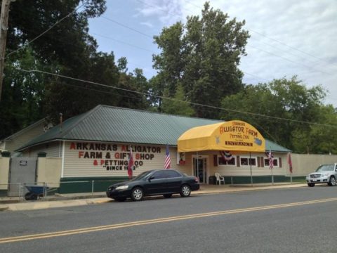 This Arkansas Alligator Farm Is Too Weird For Words