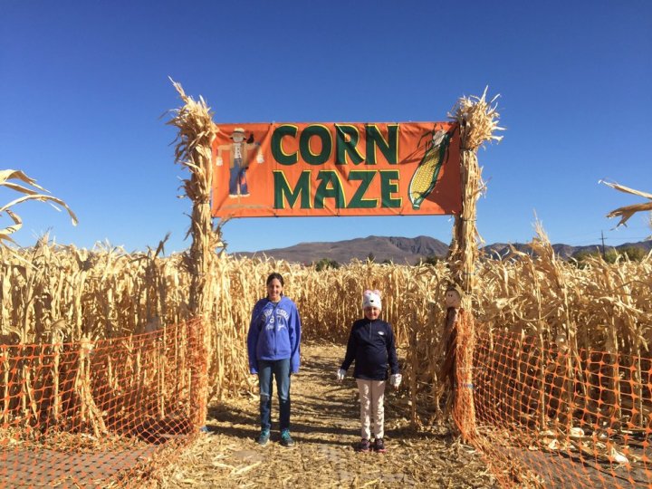 best corn mazes nevada