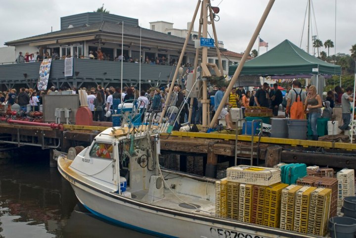 lobster festivals in southern california