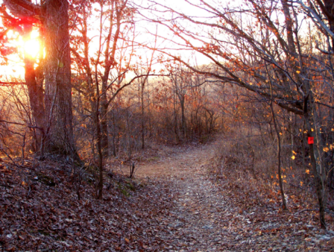 This Just Might Be The Most Beautiful Hike In All Of Missouri