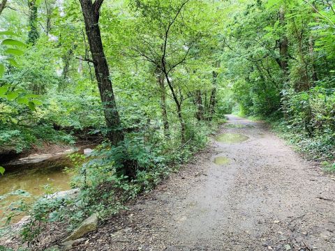 11 Easy Hikes To Add To Your Outdoor Bucket List In Virginia