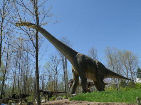 Most People Have No Idea This Unique Park In Ohio Exists