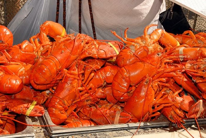 lobster festivals in southern california