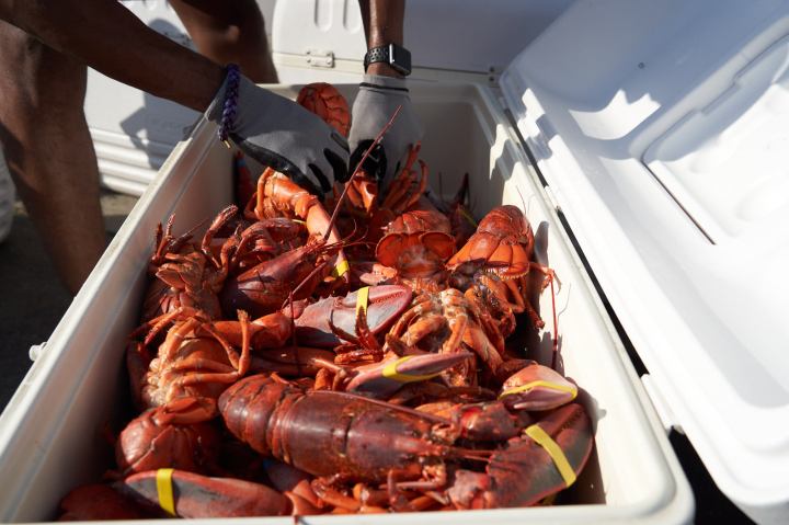 lobster festivals in southern california