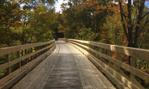 You'll Love These Scenic And Laid Back Rail Trails In Maine