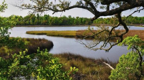 This Just Might Be The Most Beautiful Hike In All Of Mississippi