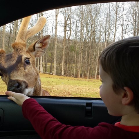 There's No Attraction In The World Quite Like This One In North Carolina