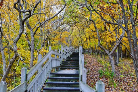 This Just Might Be The Most Beautiful Hike In All Of Iowa