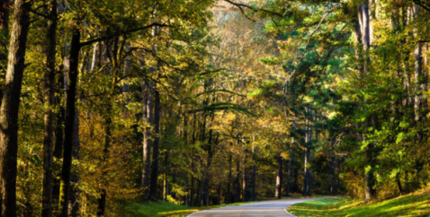 Take This Road To Nowhere In Mississippi To Get Away From It All