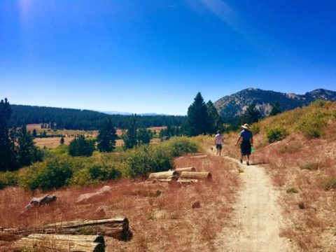 This Just Might Be The Most Beautiful Hike In All Of Nevada