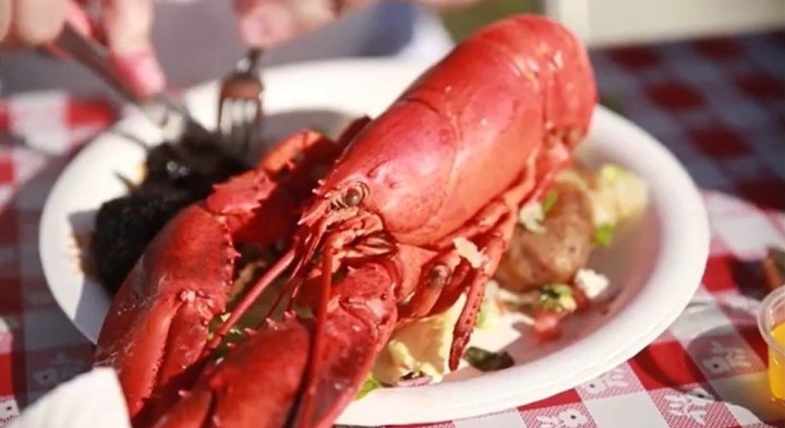 lobster festivals in southern california