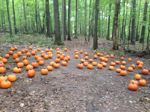 10 Spooky Campgrounds In Pennsylvania That Celebrate Halloween All October Long