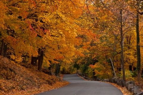 There's No Better Place To See Fall Colors Than Right Here In New Jersey