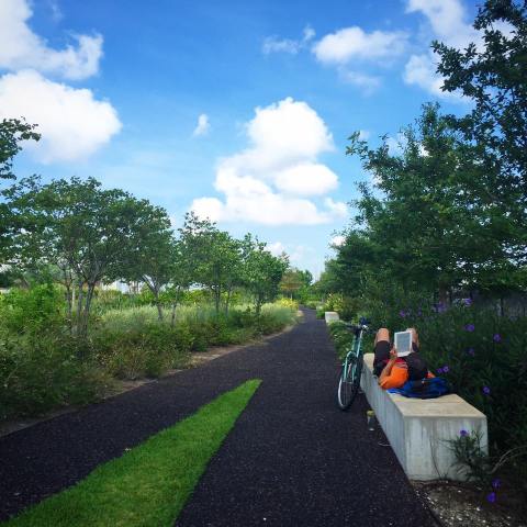 The Unique Park Everyone In New Orleans Should Visit At Least Once