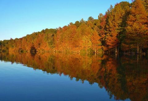 Here Is The Most Remote, Isolated Spot In Arkansas And It's Positively Breathtaking