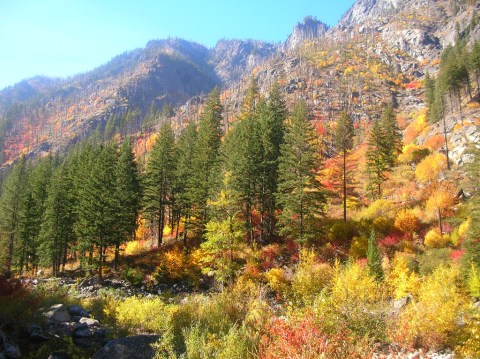 There's No Better Place To See Fall Colors Than Right Here In Washington