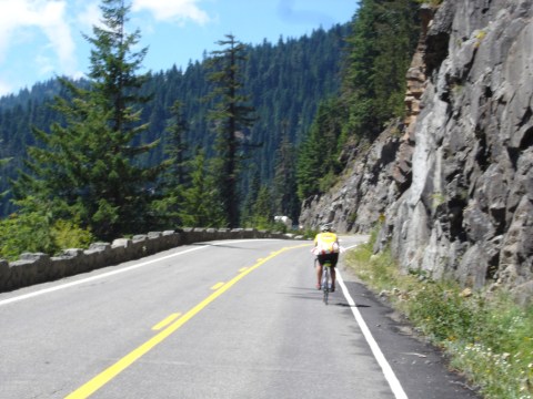 8 Country Roads In Washington That Are Pure Bliss In The Fall