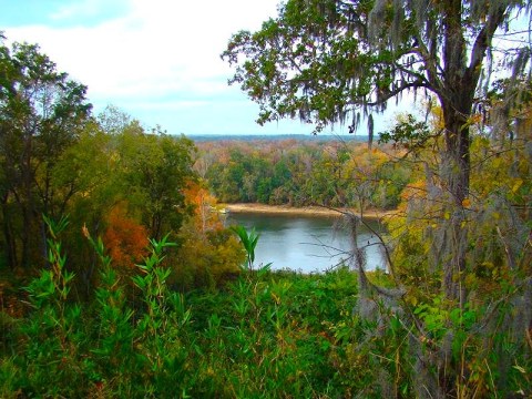 The Breathtaking Place In Florida Where You Can See For Miles And Miles