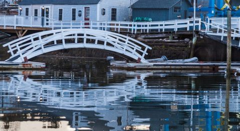 The One Island Everyone In Maine Needs To Visit This Fall