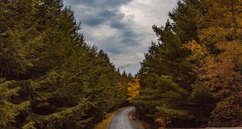 This Breathtaking Maine Park Will Make A Dreamer Out Of You