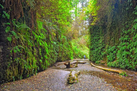 The Unrivaled Canyon Hike In Northern California Everyone Should Take At Least Once