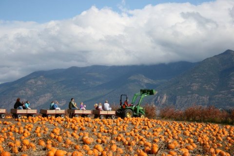 The Ultimate And Definitive Montana Bucket List For Fall