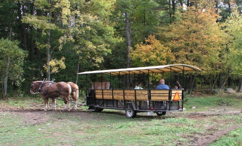 The Unique Park Everyone In New Hampshire Should Visit At Least Once