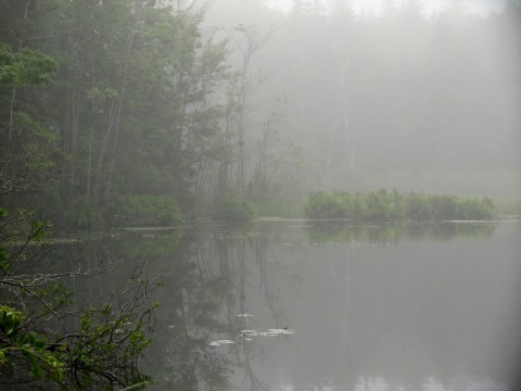 These Maine Waterways Have The 5 Spookiest Creatures Ever