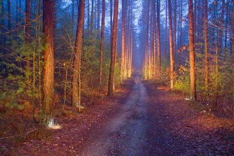 This Park In New Hampshire Has A Dark And Evil History That Will Never Be Forgotten