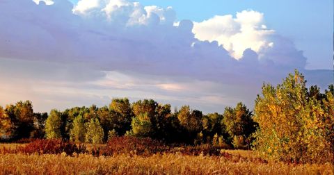 9 Easy Hikes To Add To Your Outdoor Bucket List In Kansas