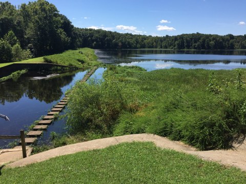 12 Easy Hikes To Add To Your Outdoor Bucket List In Kentucky