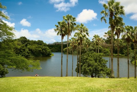 The Little Known Natural Oasis Hiding In Hawaii That's Impossible Not To Love