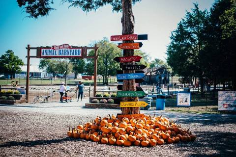 These 7 Charming Pumpkin Patches Near Nashville Are Picture Perfect For A Fall Day