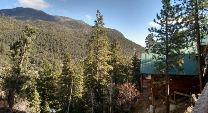 Mount Charleston Cabins