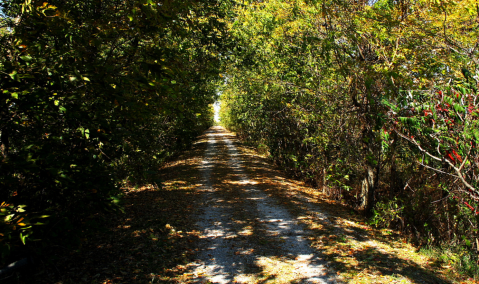 You’ve Never Experienced Anything Like This Epic Abandoned Railroad Hike In Missouri