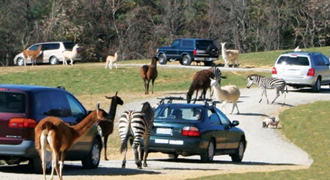 The Unique Park Everyone In Virginia Should Visit At Least Once